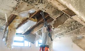 Best Mold Prevention Services  in Cardington, OH